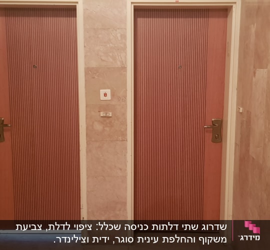 שתי דלתות עץ עם ידיות מתכת במסדרון